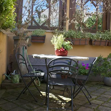 Il Sambuco Bed & Breakfast Tuscania
